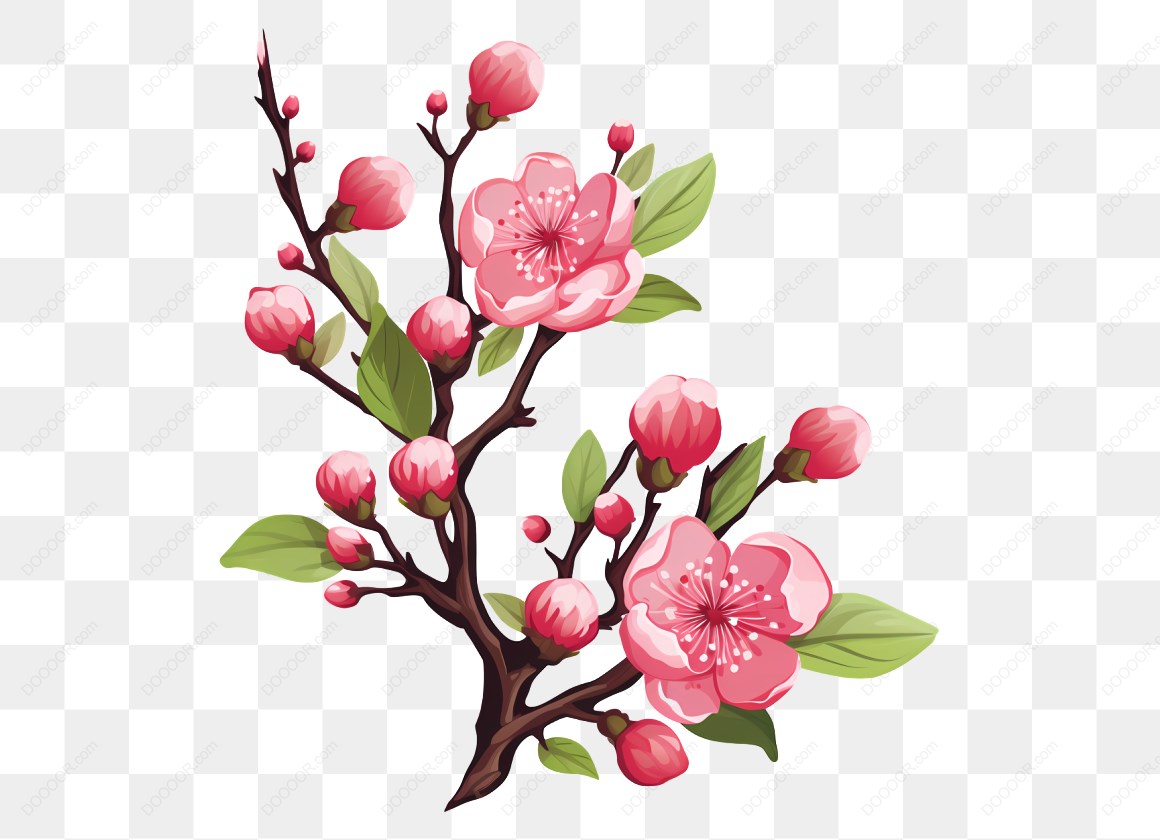 12455_粉色花朵插图_2.jpg