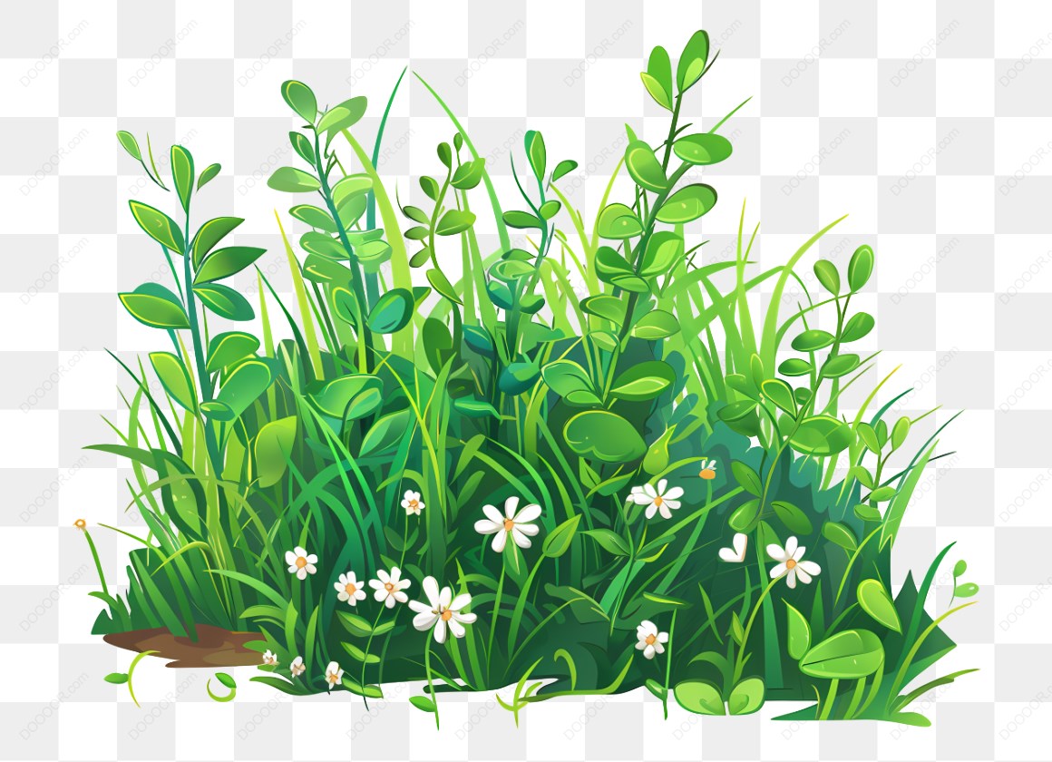 12463_绿色植物和白色小花.jpg