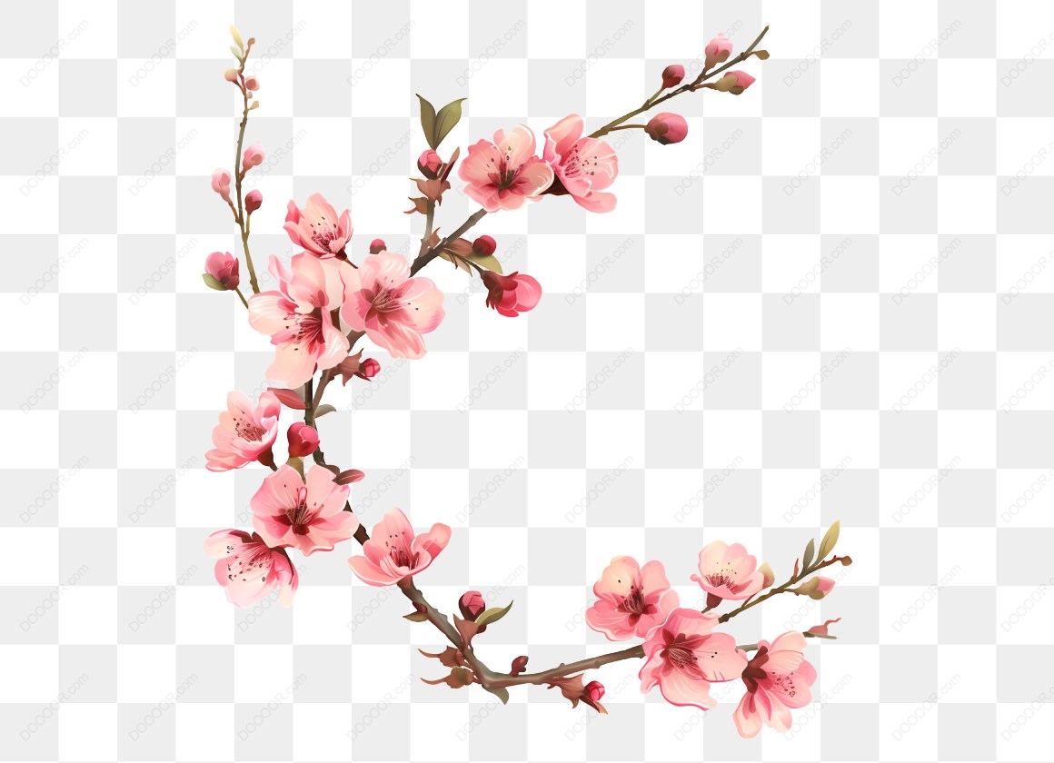 12510_粉色梅花樱花花卉插图.jpg