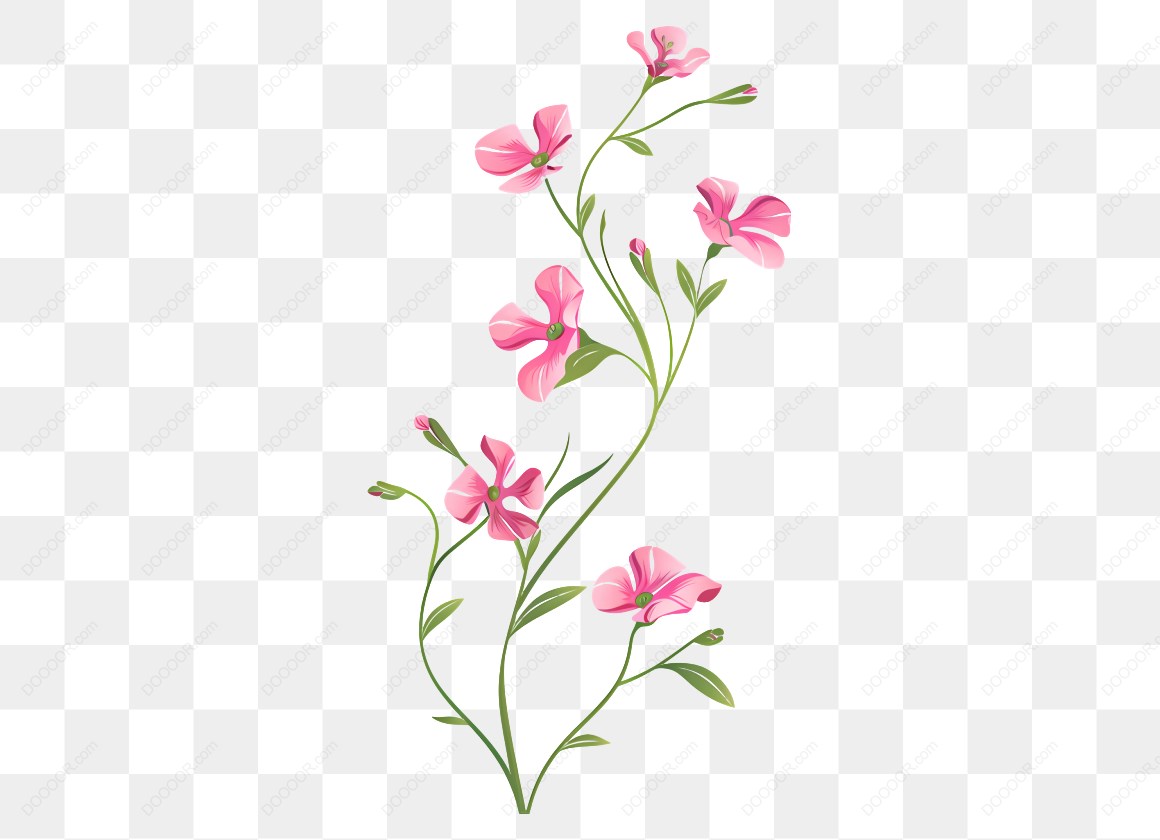 12562_粉色花朵插图_5.jpg