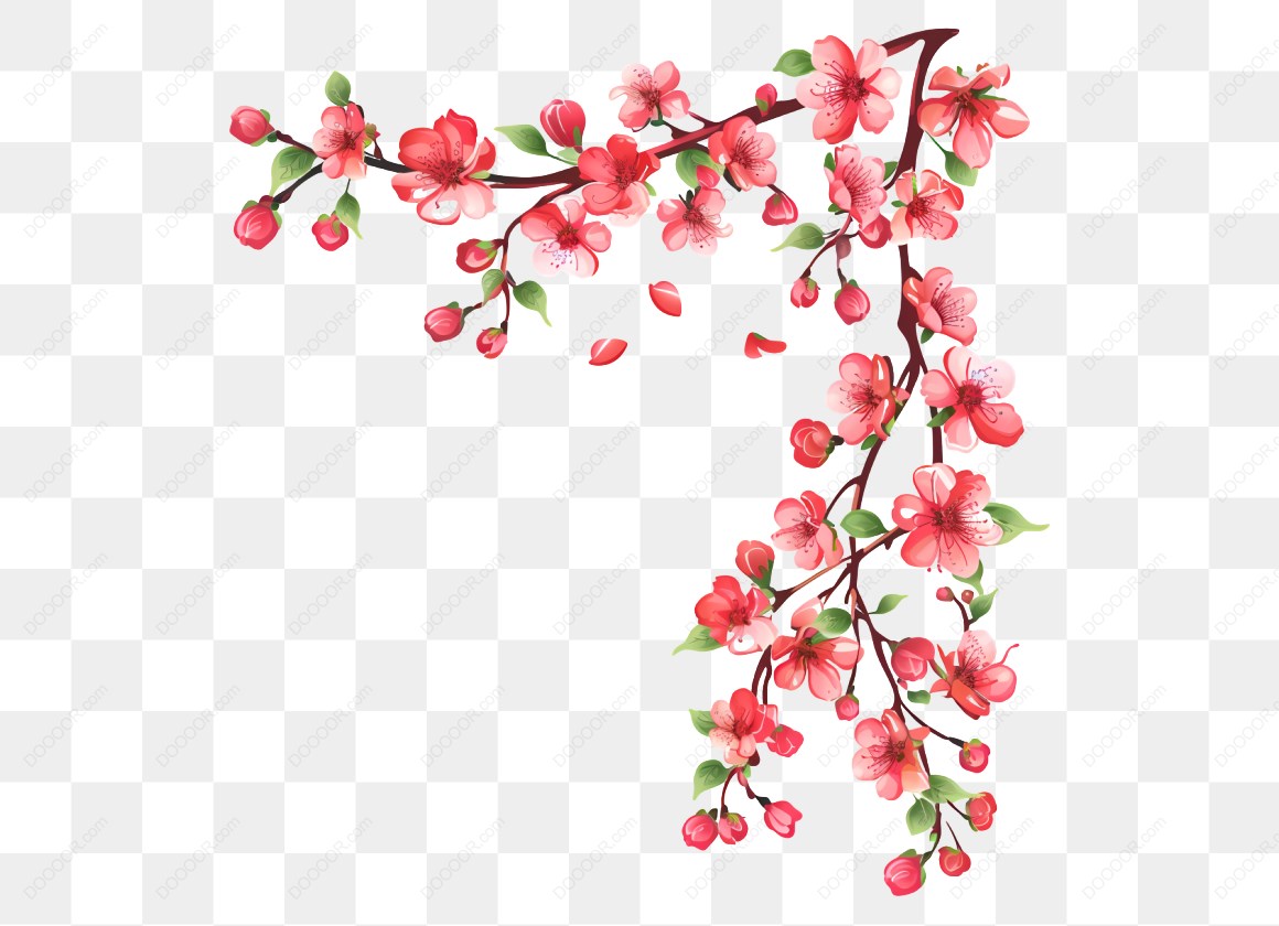 12641_梅花樱花枝条插图.jpg
