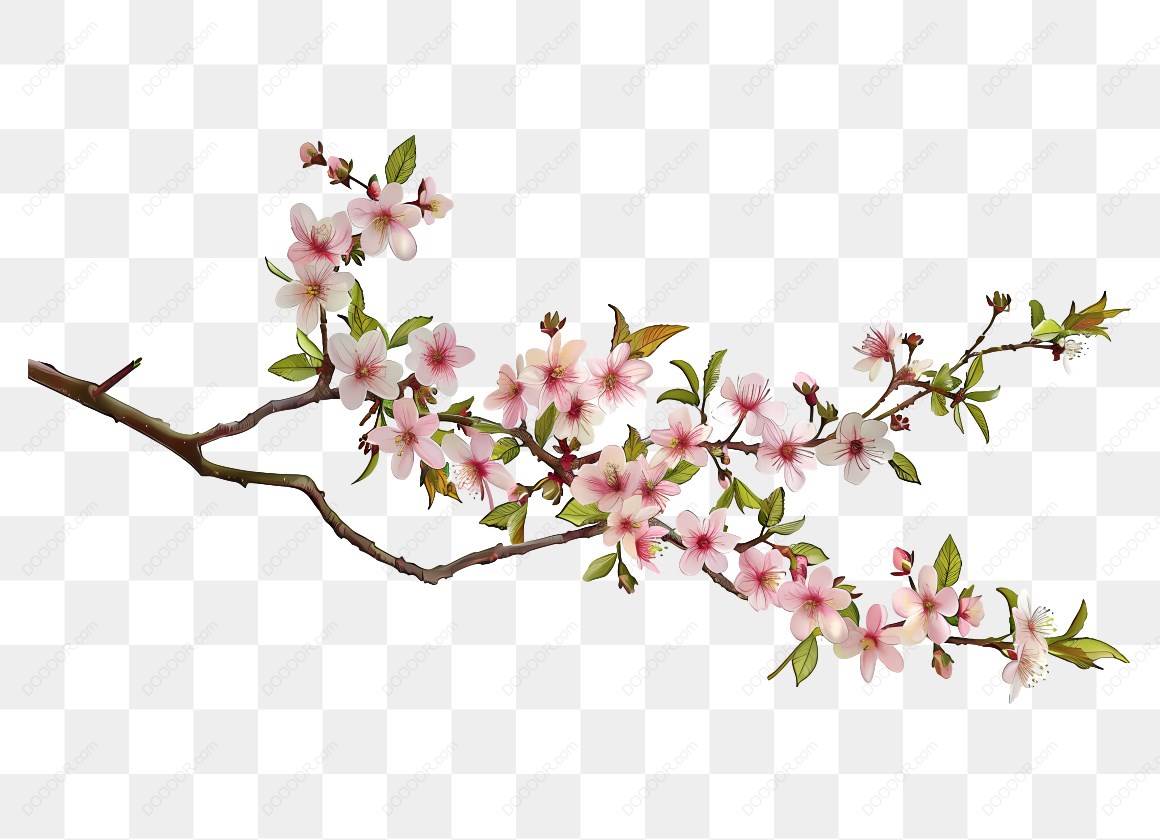 12659_梅花樱花树枝插图_2.jpg