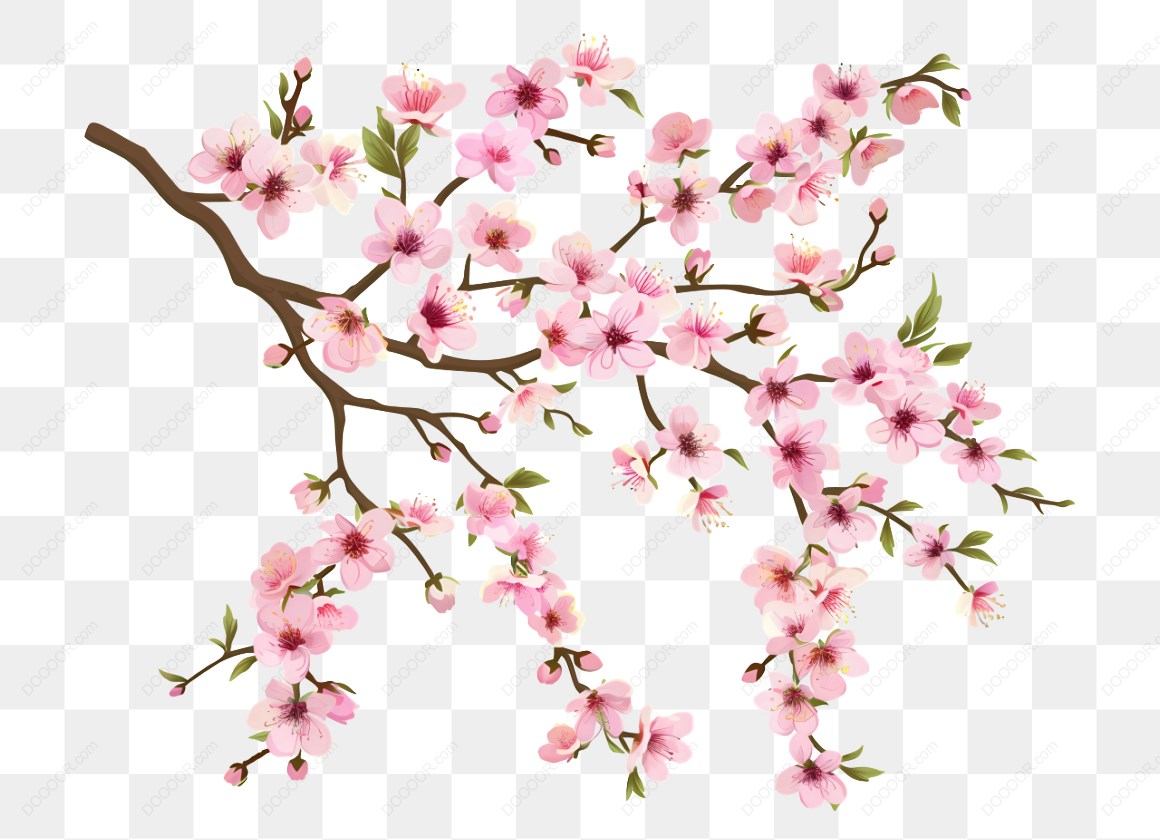 12682_粉色梅花樱花树枝图案_2.jpg