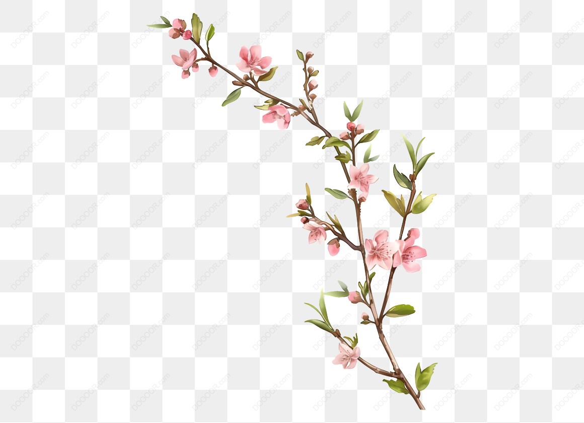 12690_桃花树枝插图_1.jpg