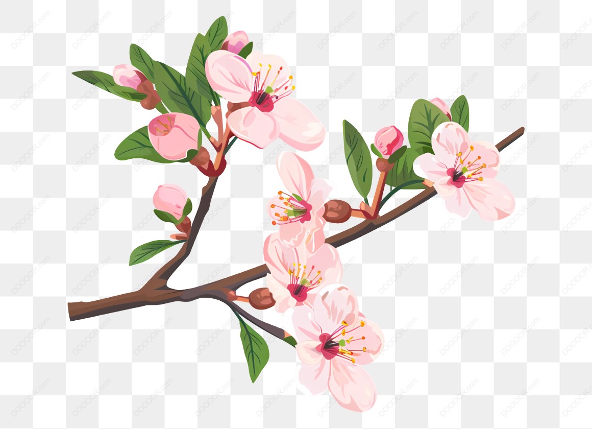 12719_梅花樱花树枝插图_3.jpg
