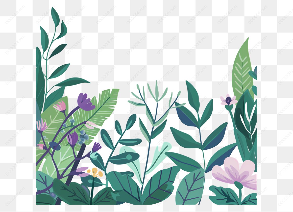 12748_插图中有多种植物.jpg