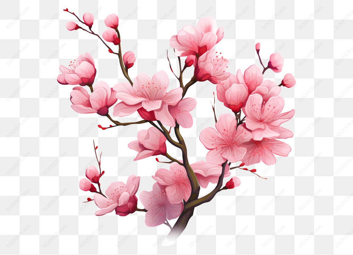 12780_粉色梅花樱花插图_20.jpg