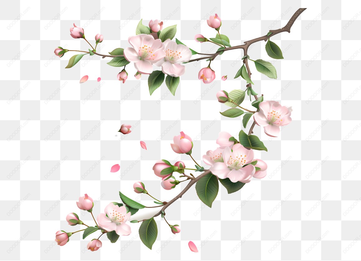 12788_粉色梅花樱花枝条插图_2.jpg