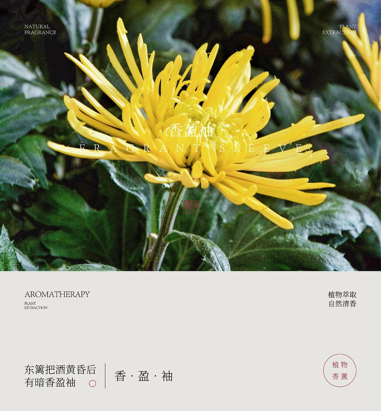 新中式植物香薰包装-09.jpg