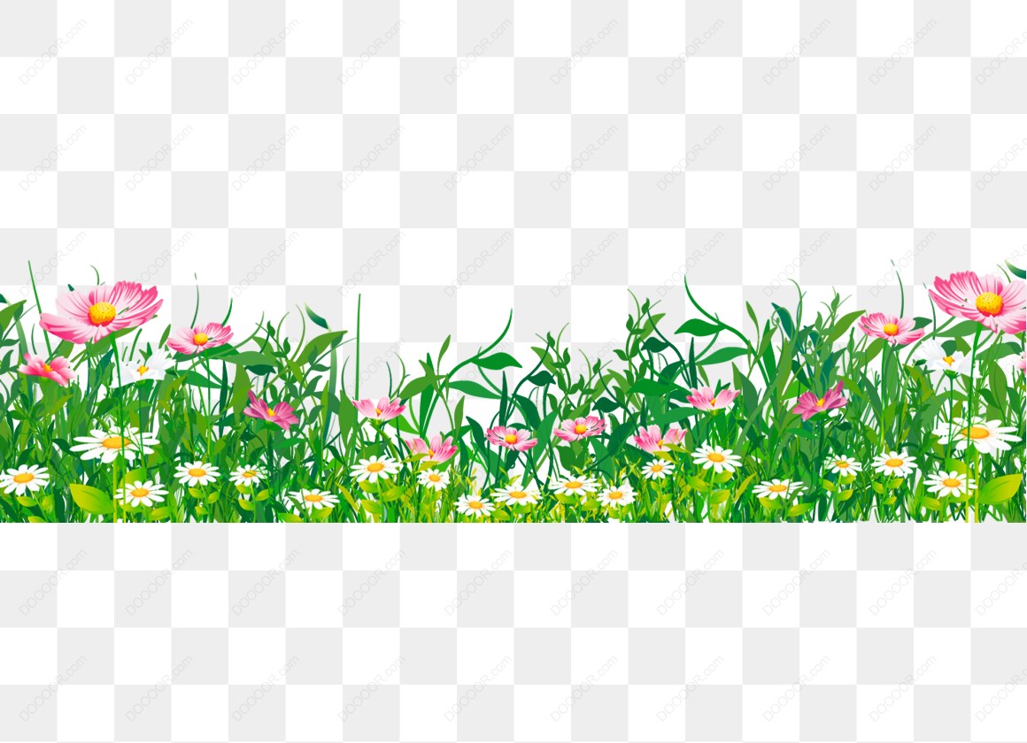 13298_粉色和白色花朵草地.jpg