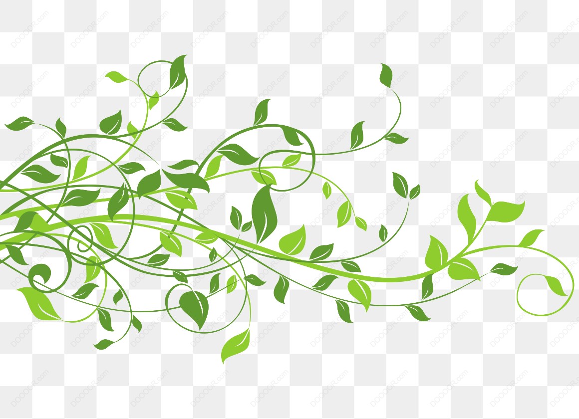 13300_绿色藤蔓装饰图案.jpg
