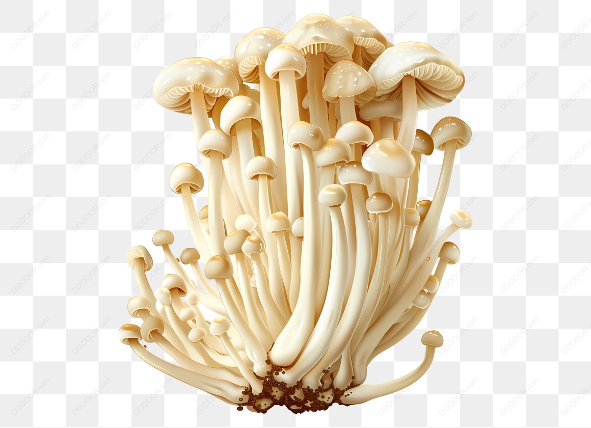13446_一簇白色蘑菇.jpg