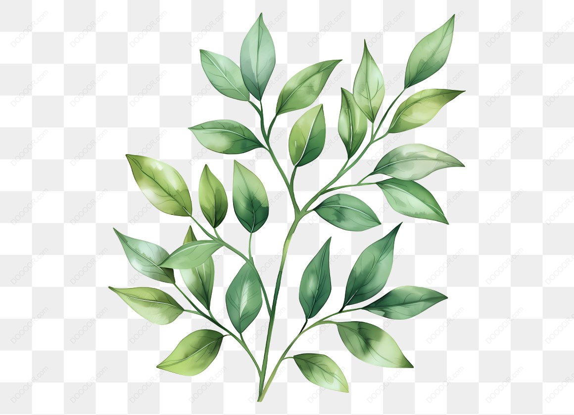 13463_绿色植物插图-2.jpg