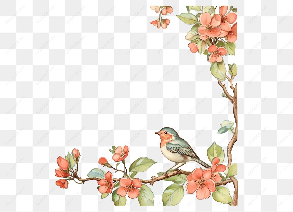 13663_鸟与花卉插图.jpg