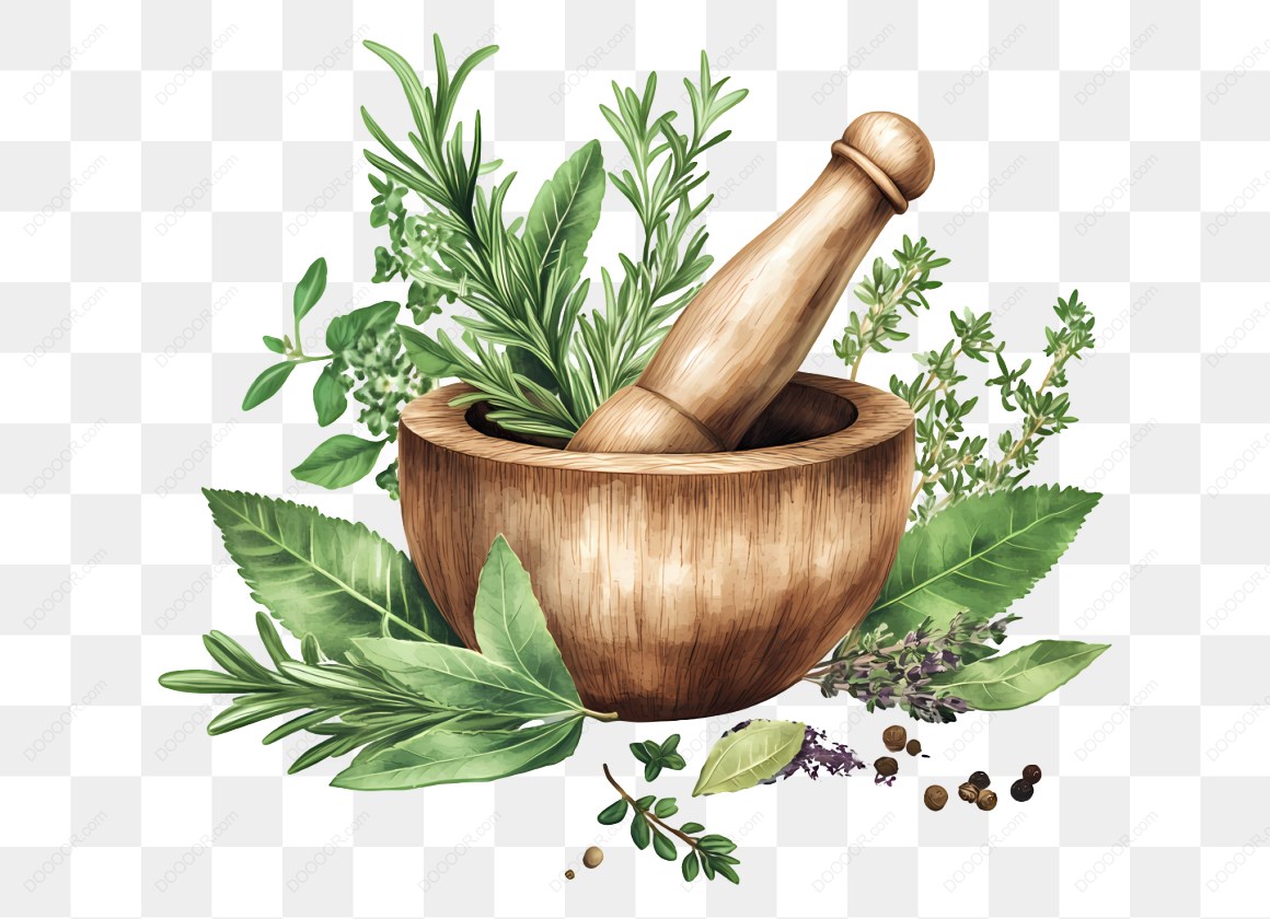 13680_研钵和草药插图.jpg