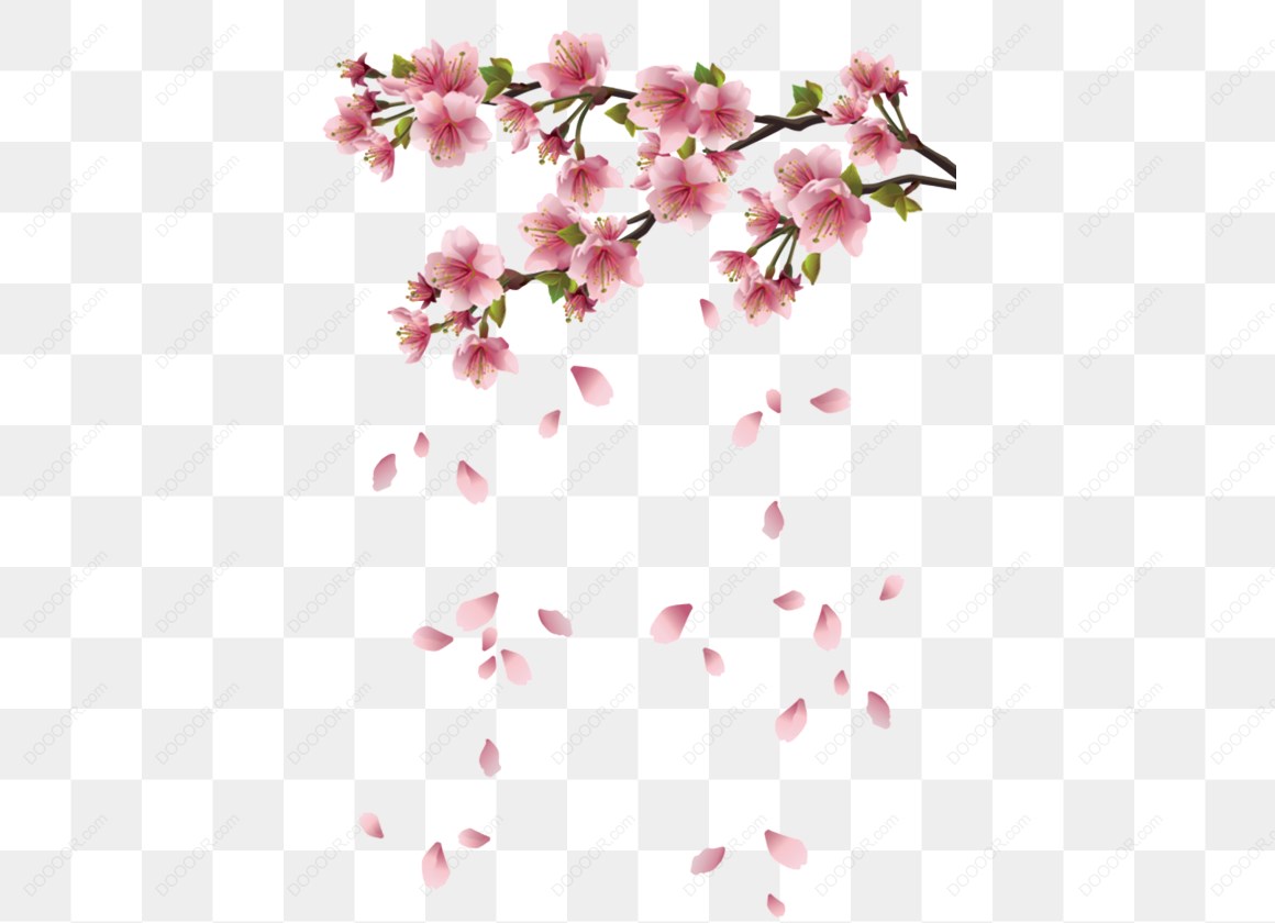 13689_樱花与飘落花瓣.jpg