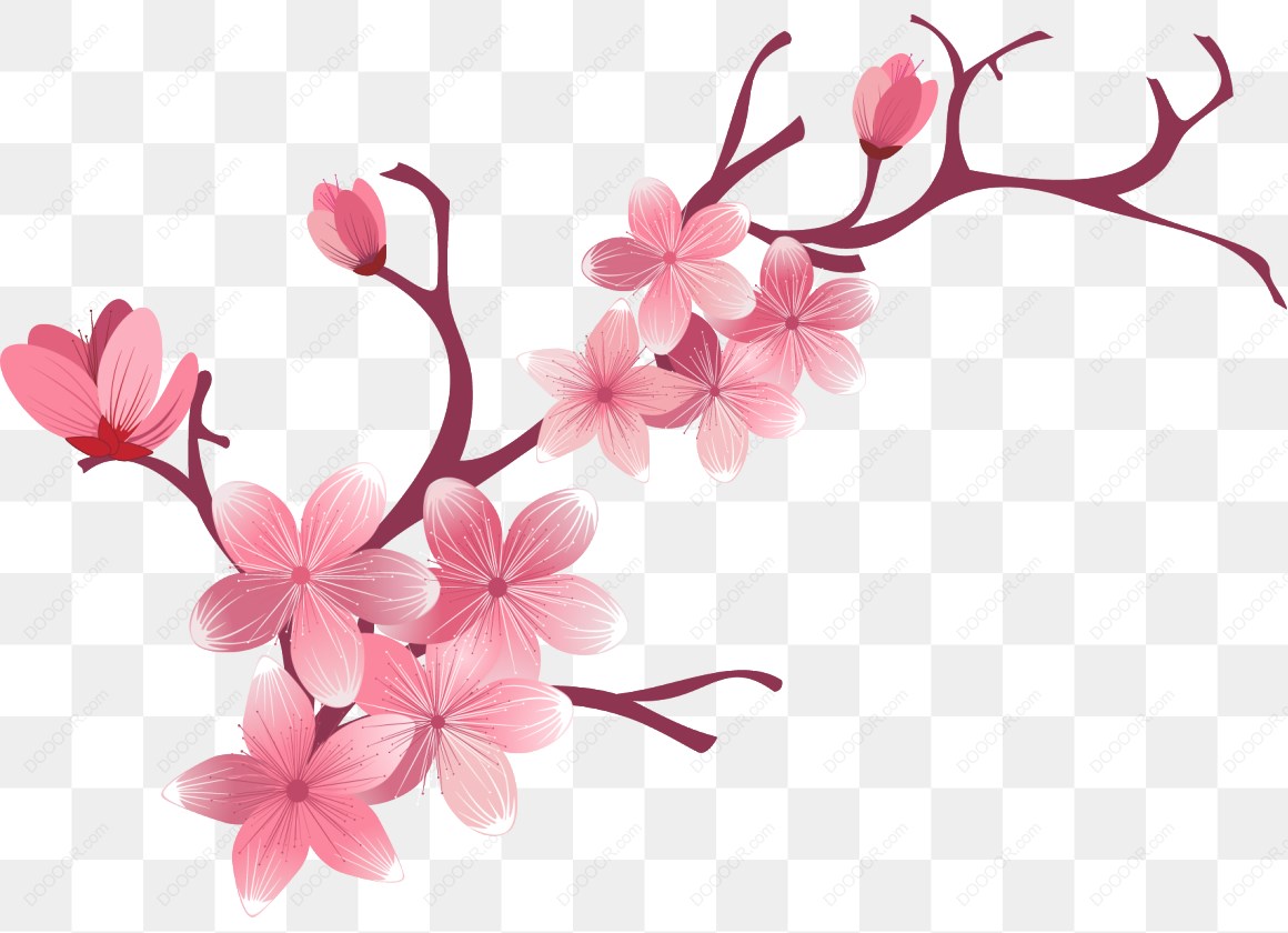 13690_粉色樱花插图-1.jpg