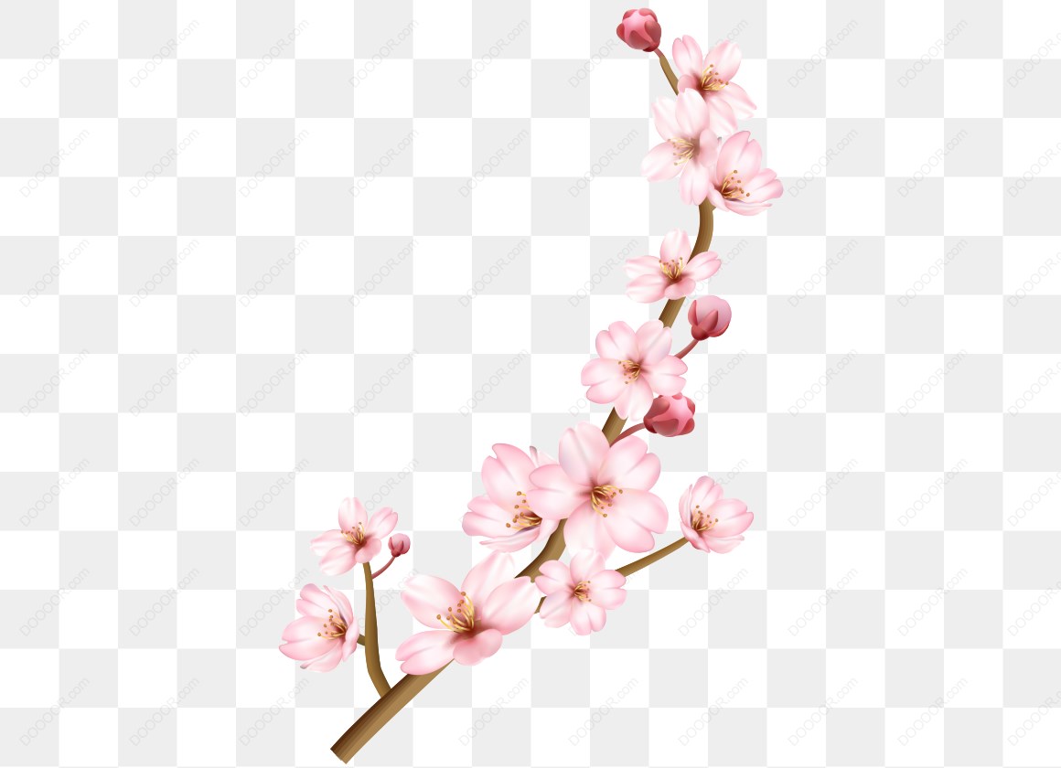 13691_粉色樱花树枝.jpg