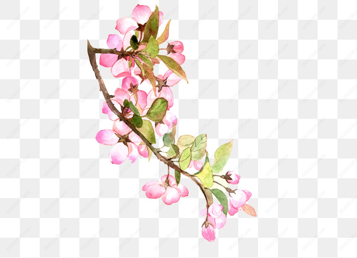 13700_粉色花卉插图.jpg