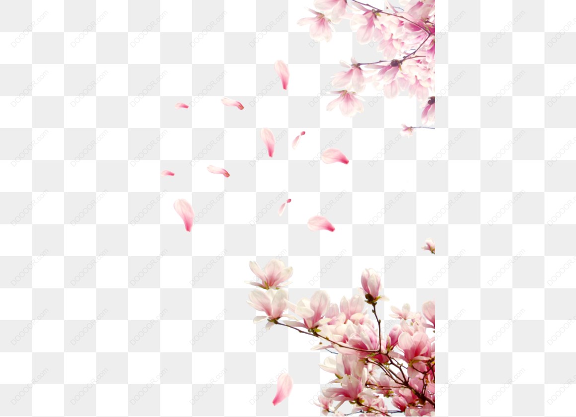 13705_粉色花瓣飘落背景.jpg