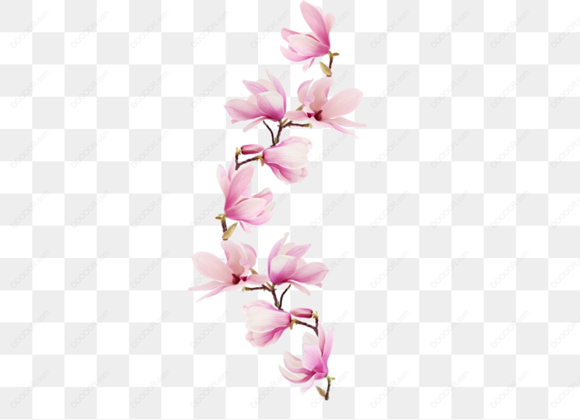 13710_粉色花朵排列图案.jpg