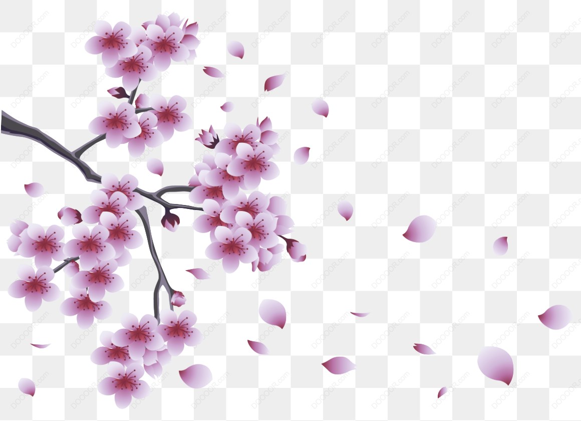 13919_樱花树枝与花瓣.jpg