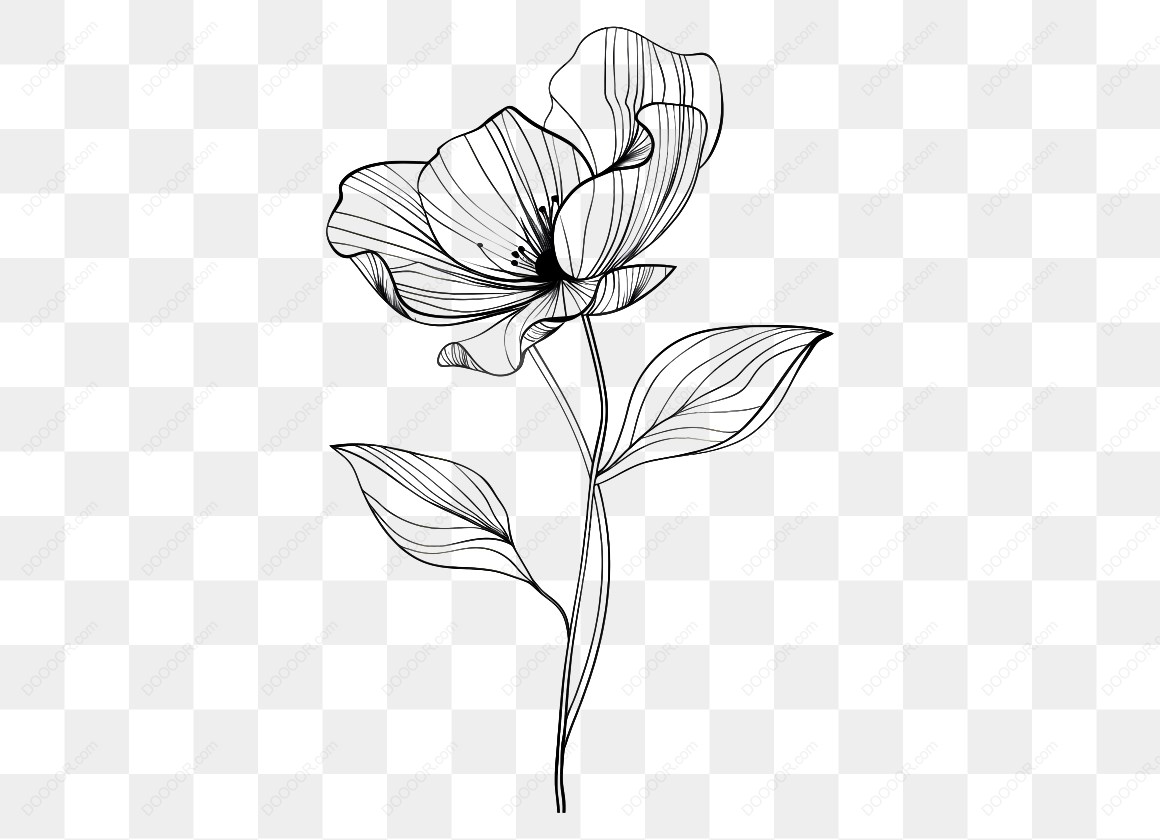 14156_黑色线描花卉图案.jpg