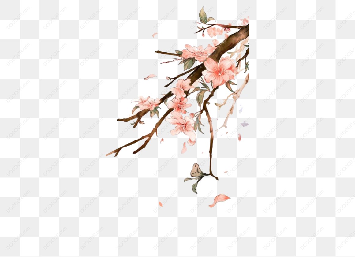 14206_樱花树枝插图.jpg