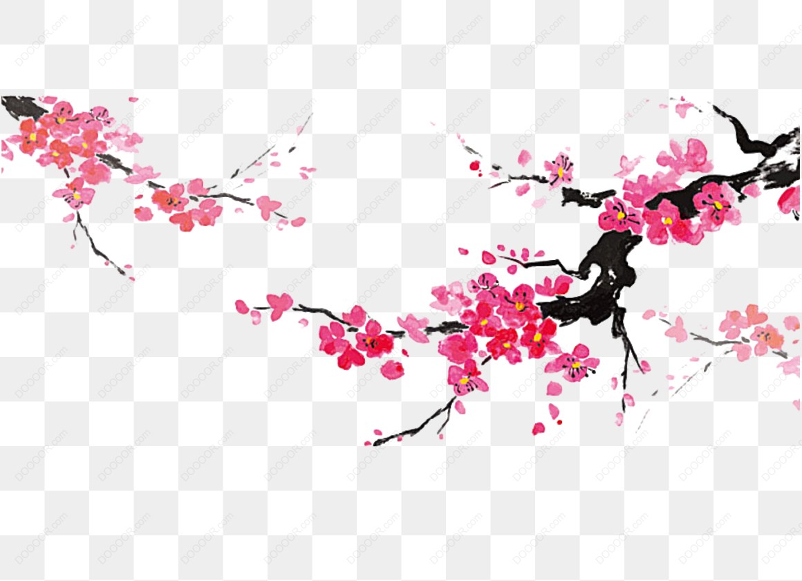 14209_粉色梅花插画.jpg