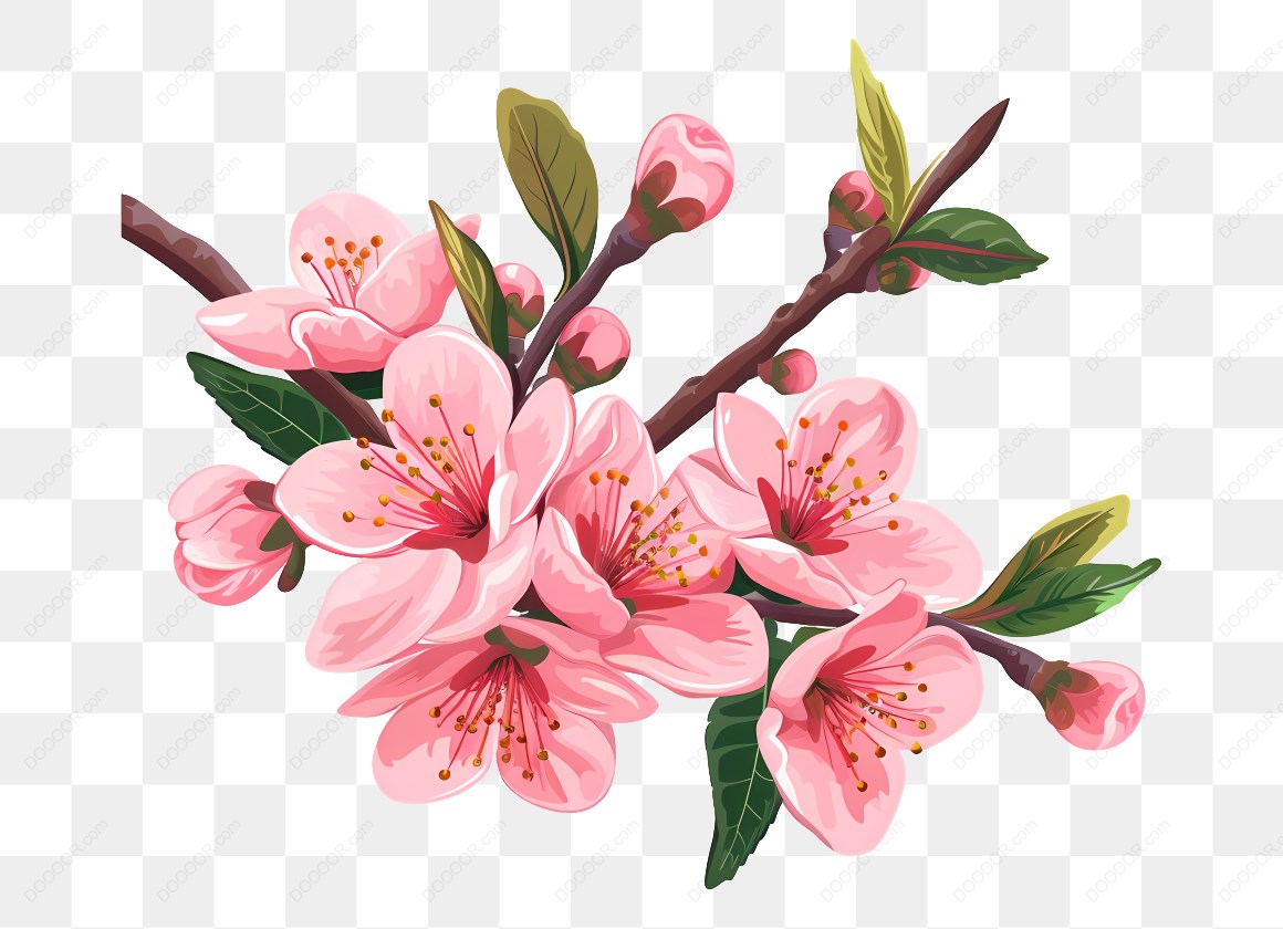 14221_粉色樱花插图-2.jpg