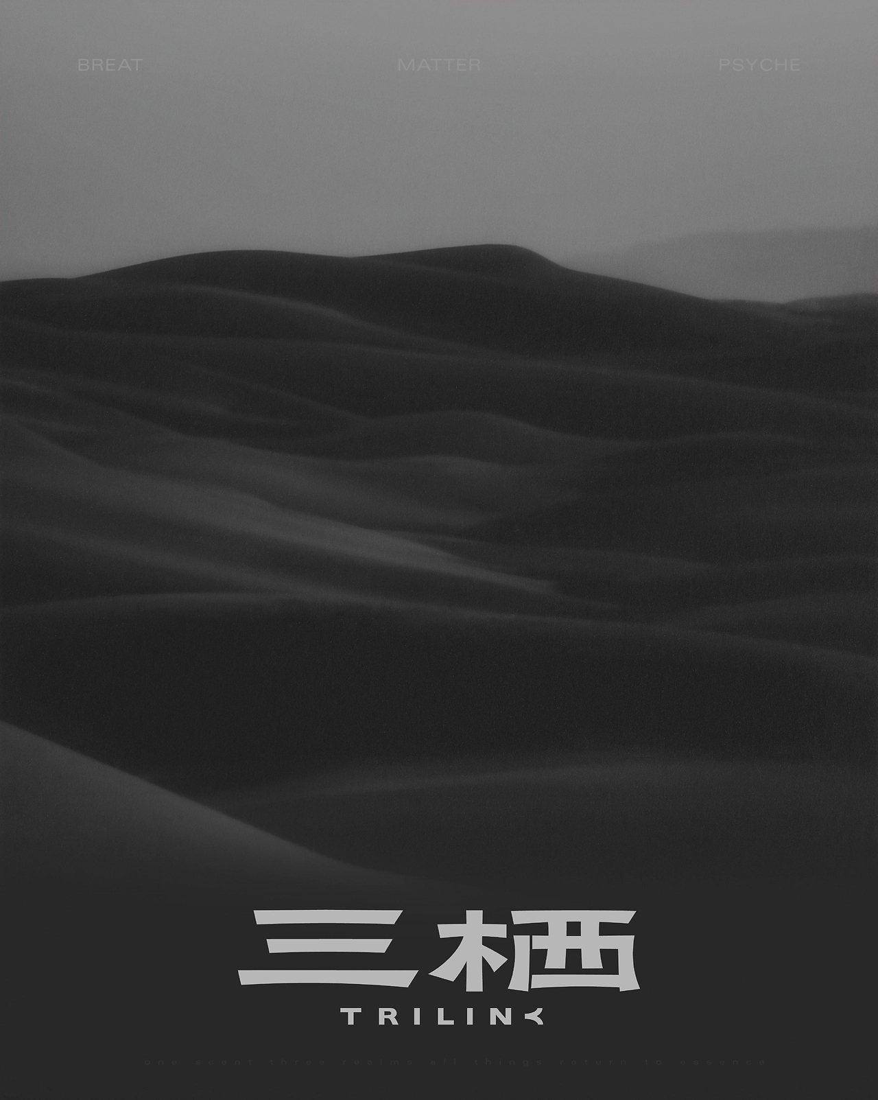 三栖TRILINK  蜡烛香薰品牌设计-01.jpg