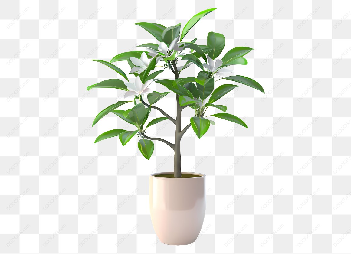 14277_盆栽植物带白色花.jpg