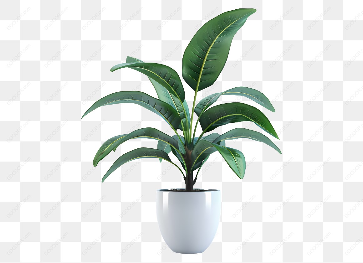 14306_盆栽植物插图_2_2.jpg