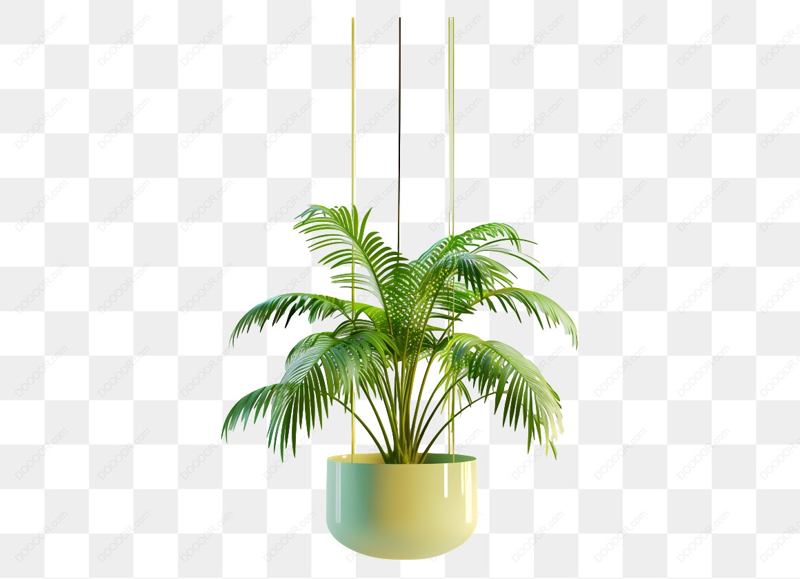14333_悬挂的绿色植物_2.jpg