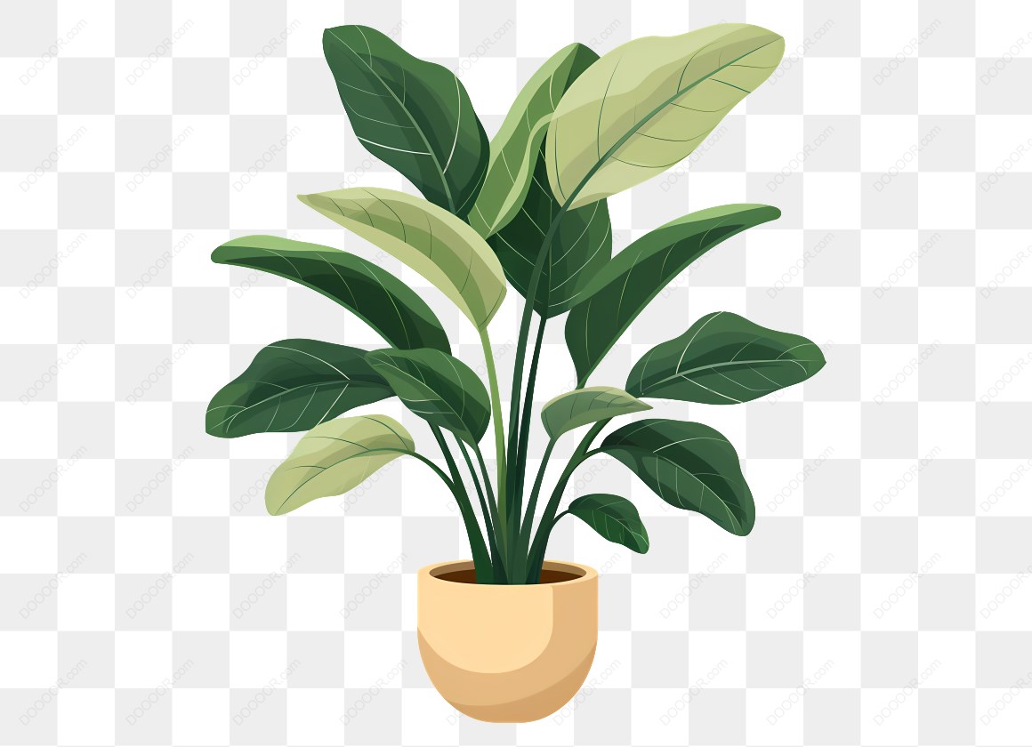 14383_盆栽中的绿植插图.jpg