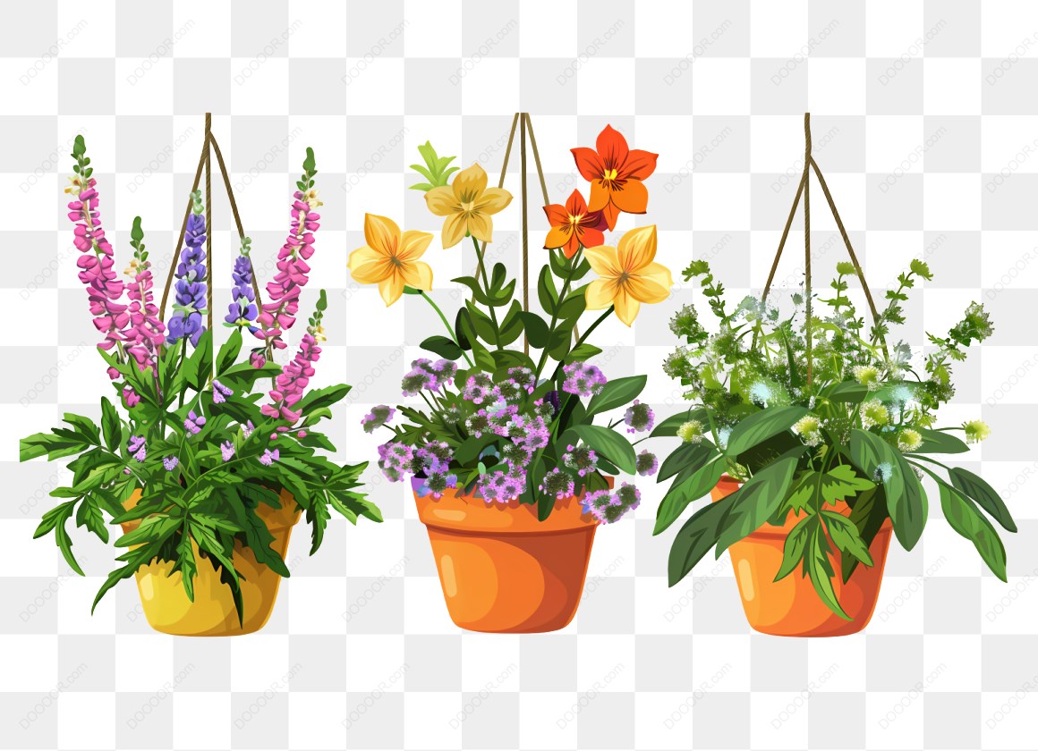 14391_三盆悬挂的彩色花卉.jpg