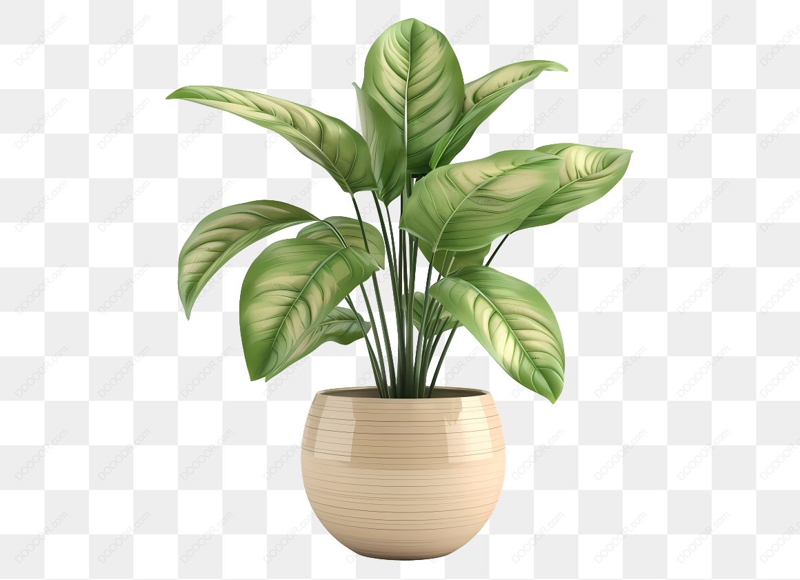 14517_盆栽绿植插图_2.jpg
