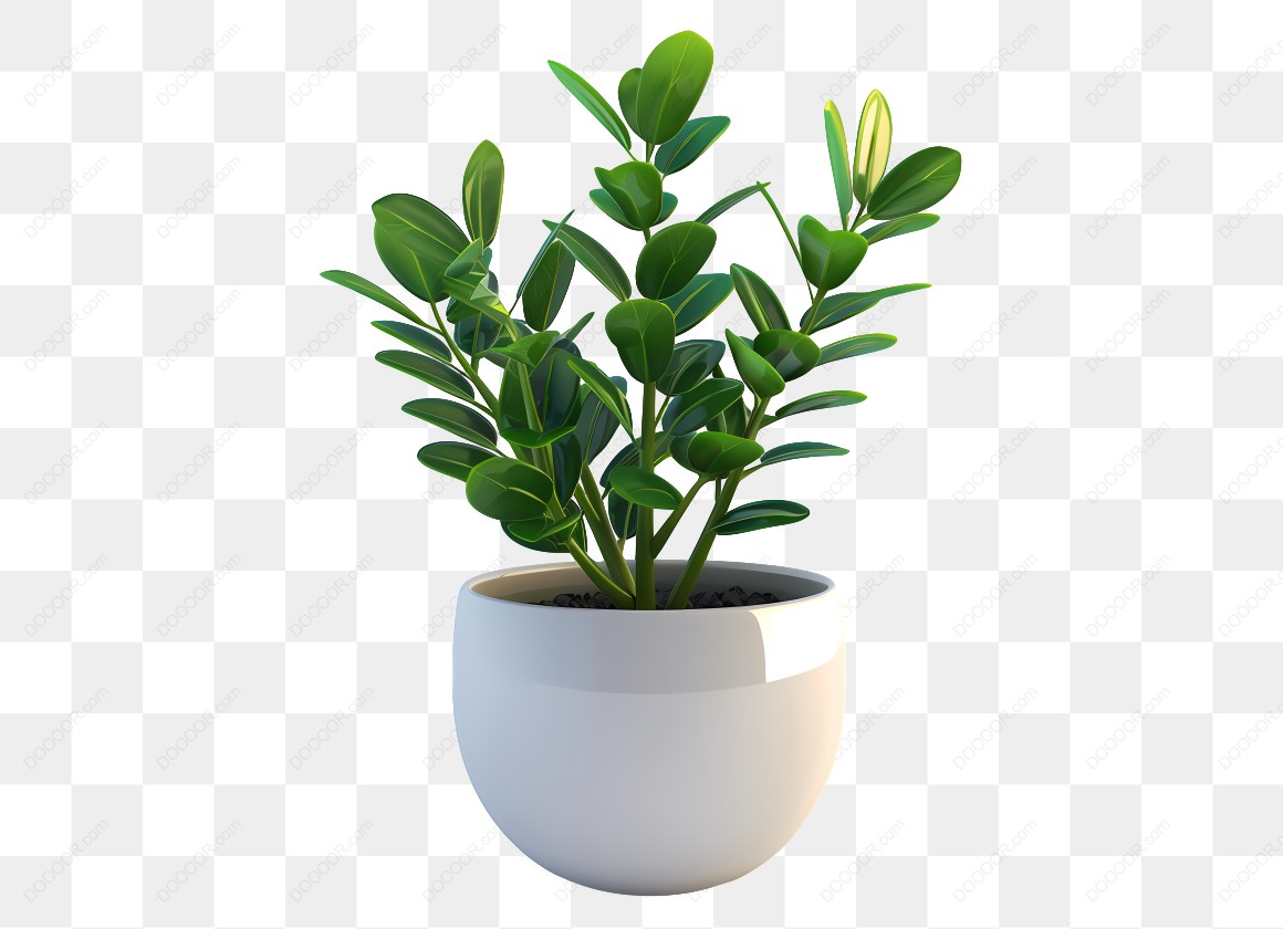 14521_绿色植物在白色花盆.jpg