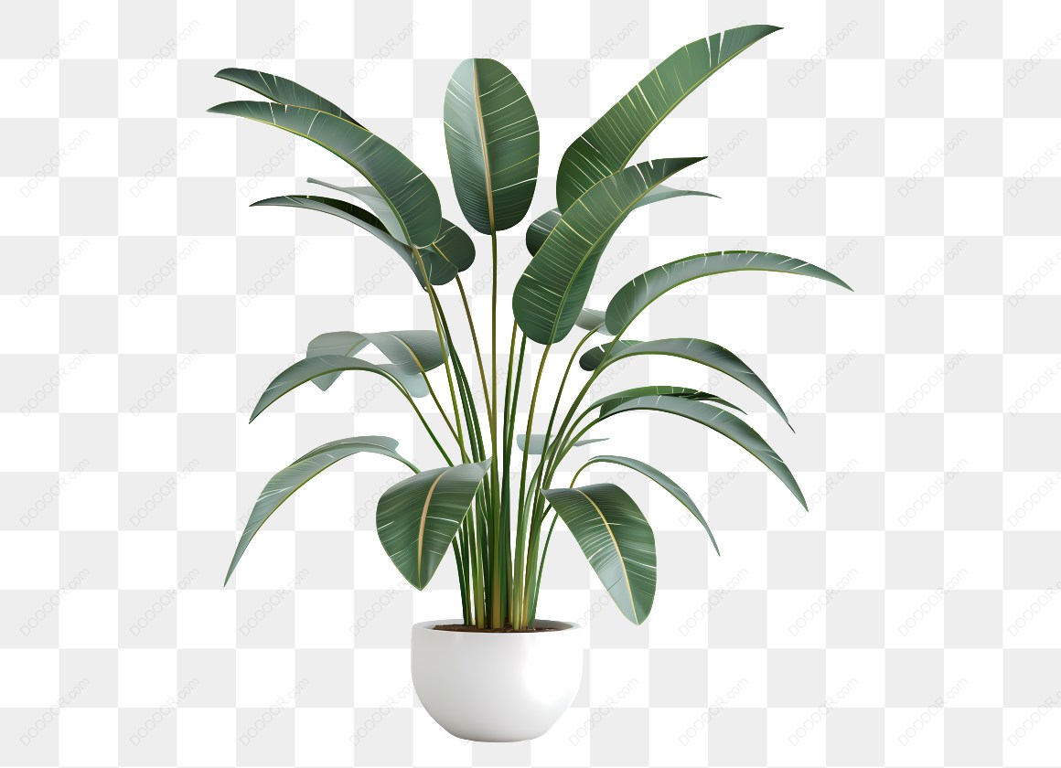 14538_盆栽绿植叶子植物.jpg