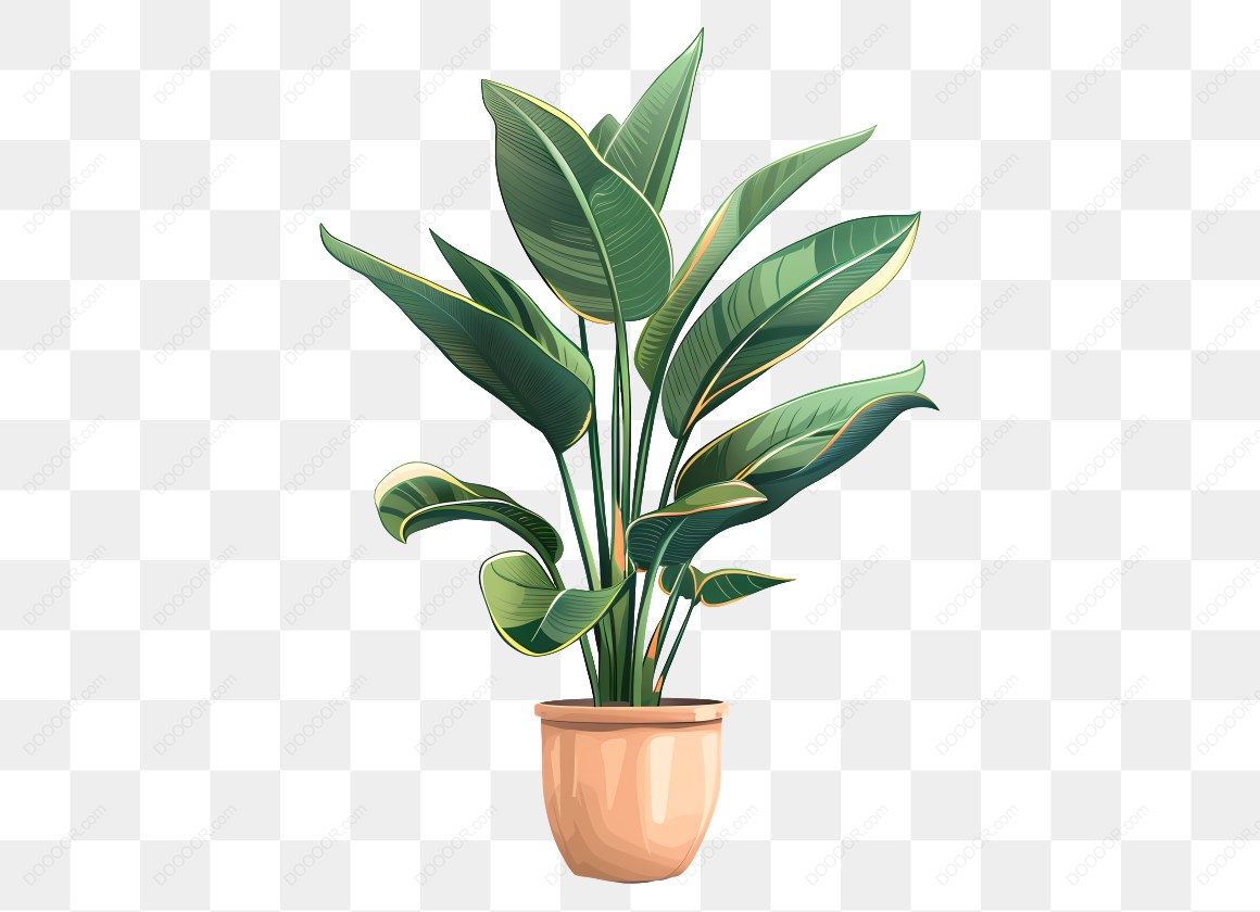 14566_盆栽植物插图_7.jpg