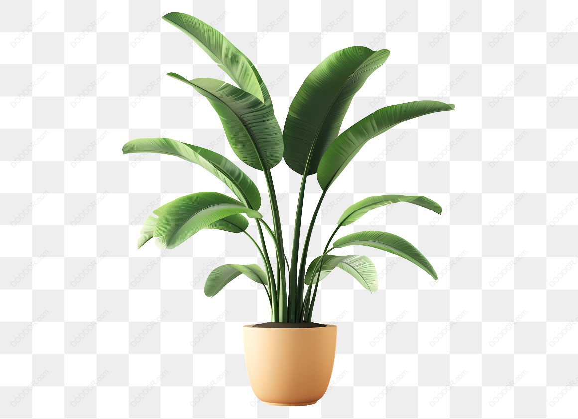 14673_盆栽植物插图_3_3.jpg