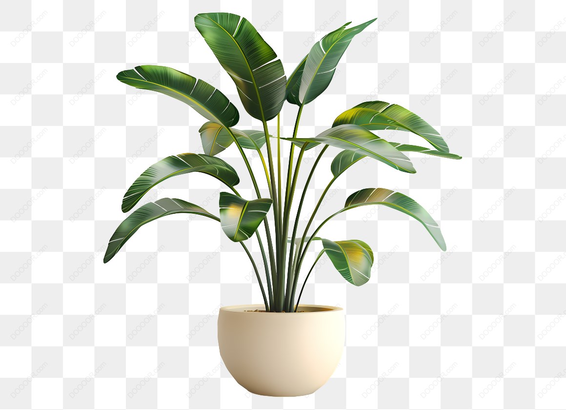 14721_盆栽中的绿色植物_2.jpg