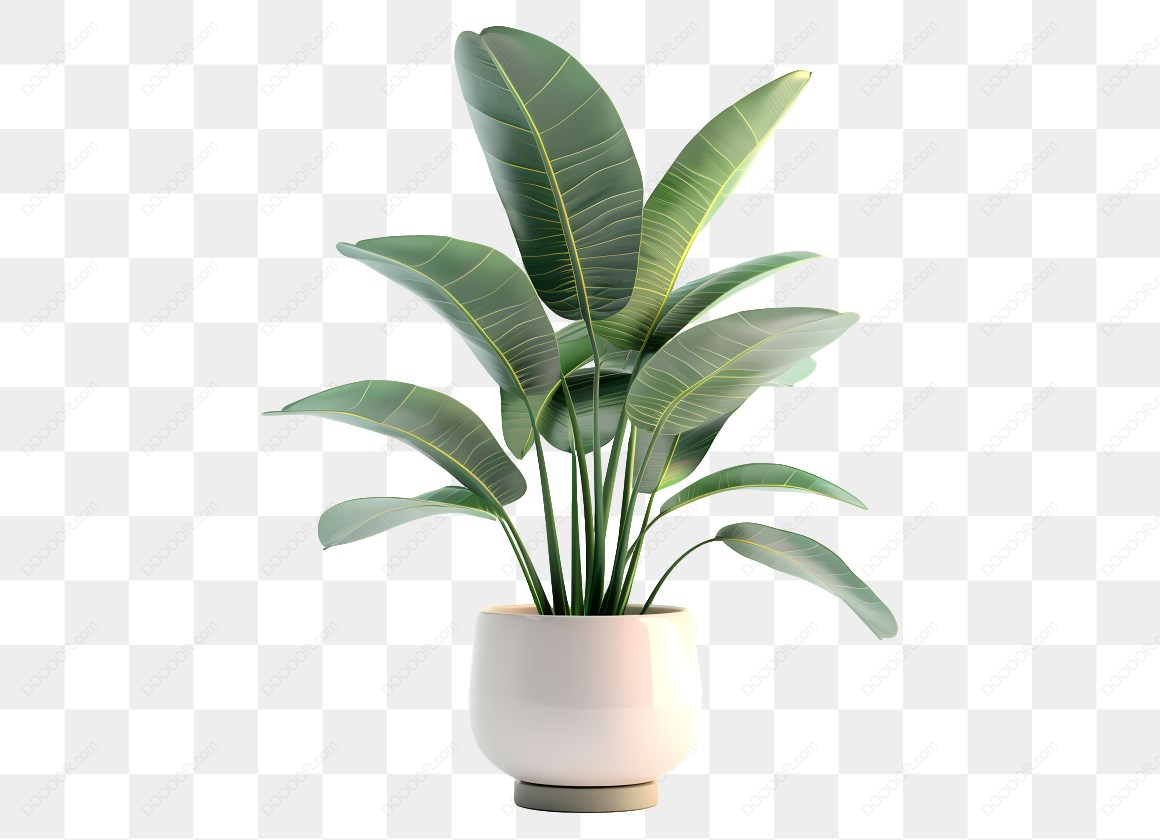 14748_盆栽植物绿叶插图.jpg