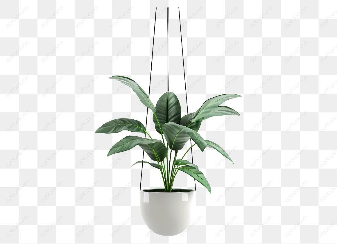 14891_悬挂的绿色植物.jpg