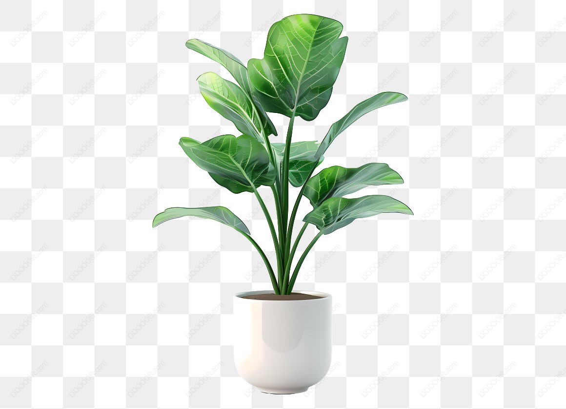 15043_绿色植物在白色花盆中.jpg