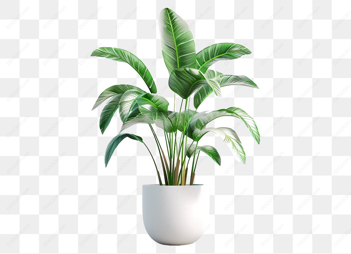15136_盆栽绿植在白色花盆.jpg