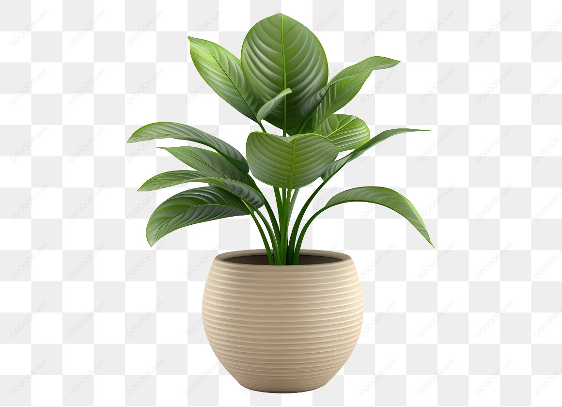 15180_盆栽绿植插图.jpg