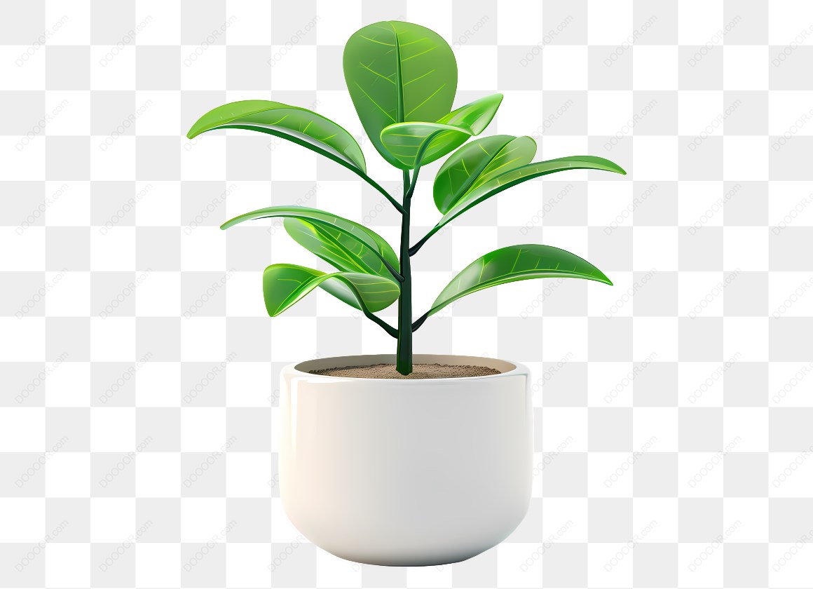 15238_盆栽植物插图_5.jpg