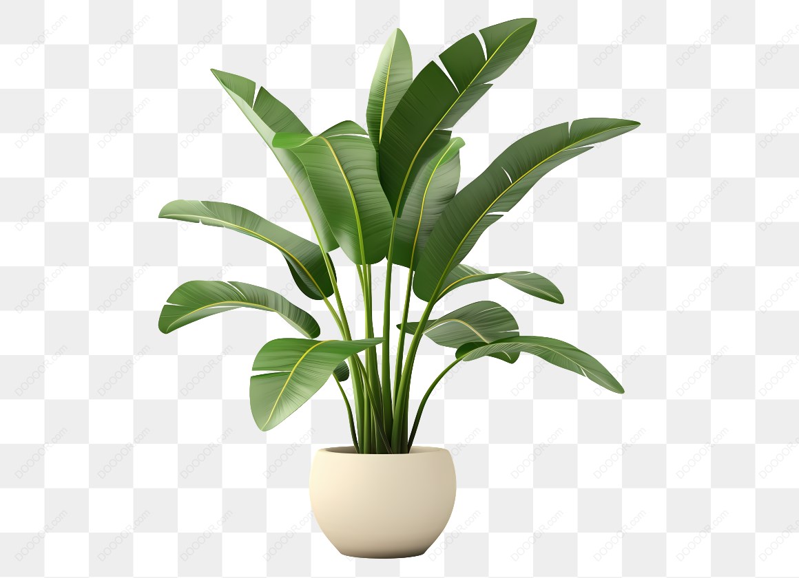 15253_盆栽绿色植物.jpg