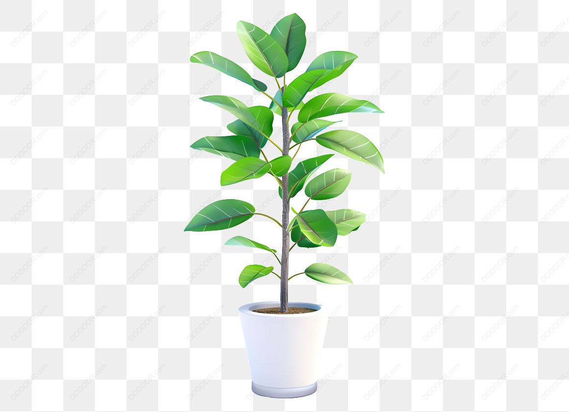 15301_盆栽植物插图_6.jpg